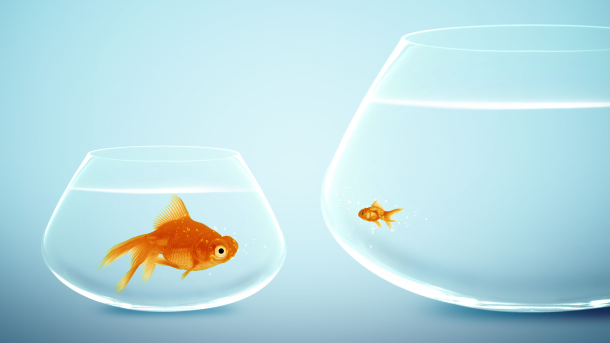 There is a large goldfish in a small bowl and a small goldfish in a large bowl. These represent Usenet vs other technologies. You decide which is which.